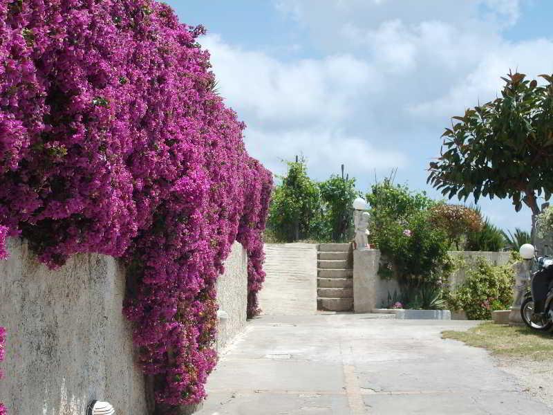 Forio di Ischia Villa Natalina מראה חיצוני תמונה